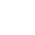 stjerne (hvid) 1